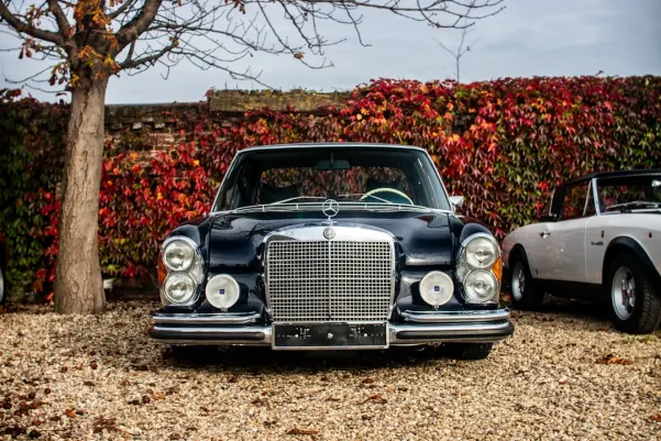 BlueChip Cazino Cazinou Aplicație Android/iOS